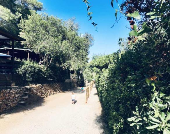Elbadoc Camping Village Cavo Ngoại thất bức ảnh